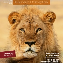 Titel MG 2023 1