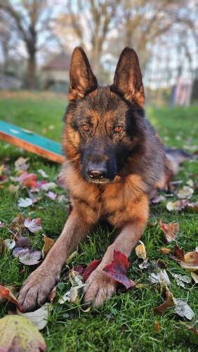 579991326 1238886921600710 5246808374566179764 n