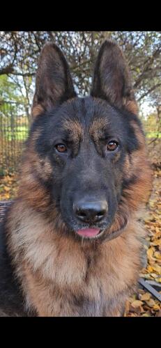 580816107 1238886678267401 2575125115069957435 n