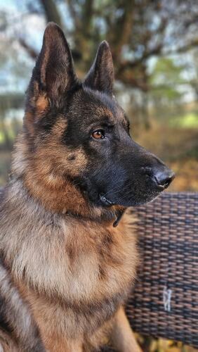 581943585 1238886968267372 2516277497976176075 n