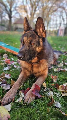 582410720 1238886854934050 4292910830024669952 n