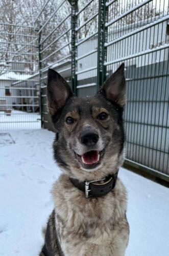 611345986 1281408657348536 3443399406725626620 n