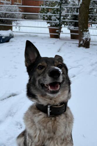 613151670 1281408774015191 7254042433379253918 n