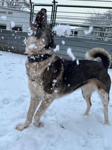 613504049 1281408514015217 1100934606344908706 n