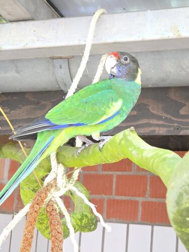 641329921 1323185219837546 5141619179398356458 n