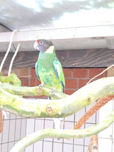 641467357 1323185279837540 3246479327752624152 n