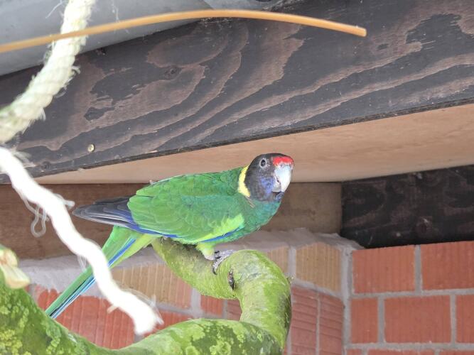 641701847 1323185339837534 6991540235332424873 n