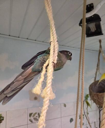 645542060 1325631042926297 1994978848940332202 n