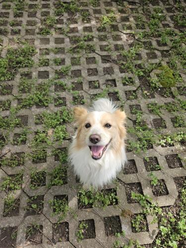 Monty3