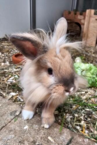 Screenshot 20251018 165352 Gallery