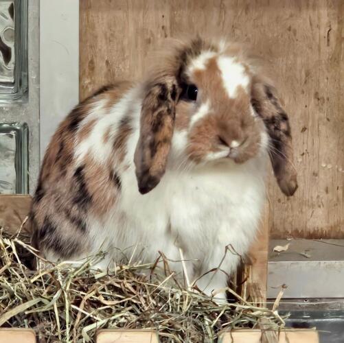 Screenshot 20251018 165432 Gallery