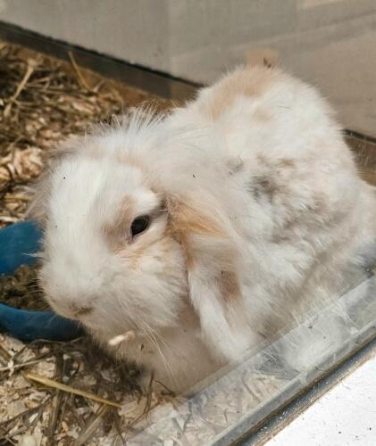 Screenshot 20251018 165442 Gallery