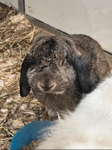 Screenshot 20251018 165448 Gallery