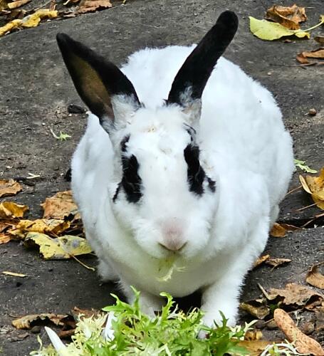 Screenshot 20251018 165513 Gallery